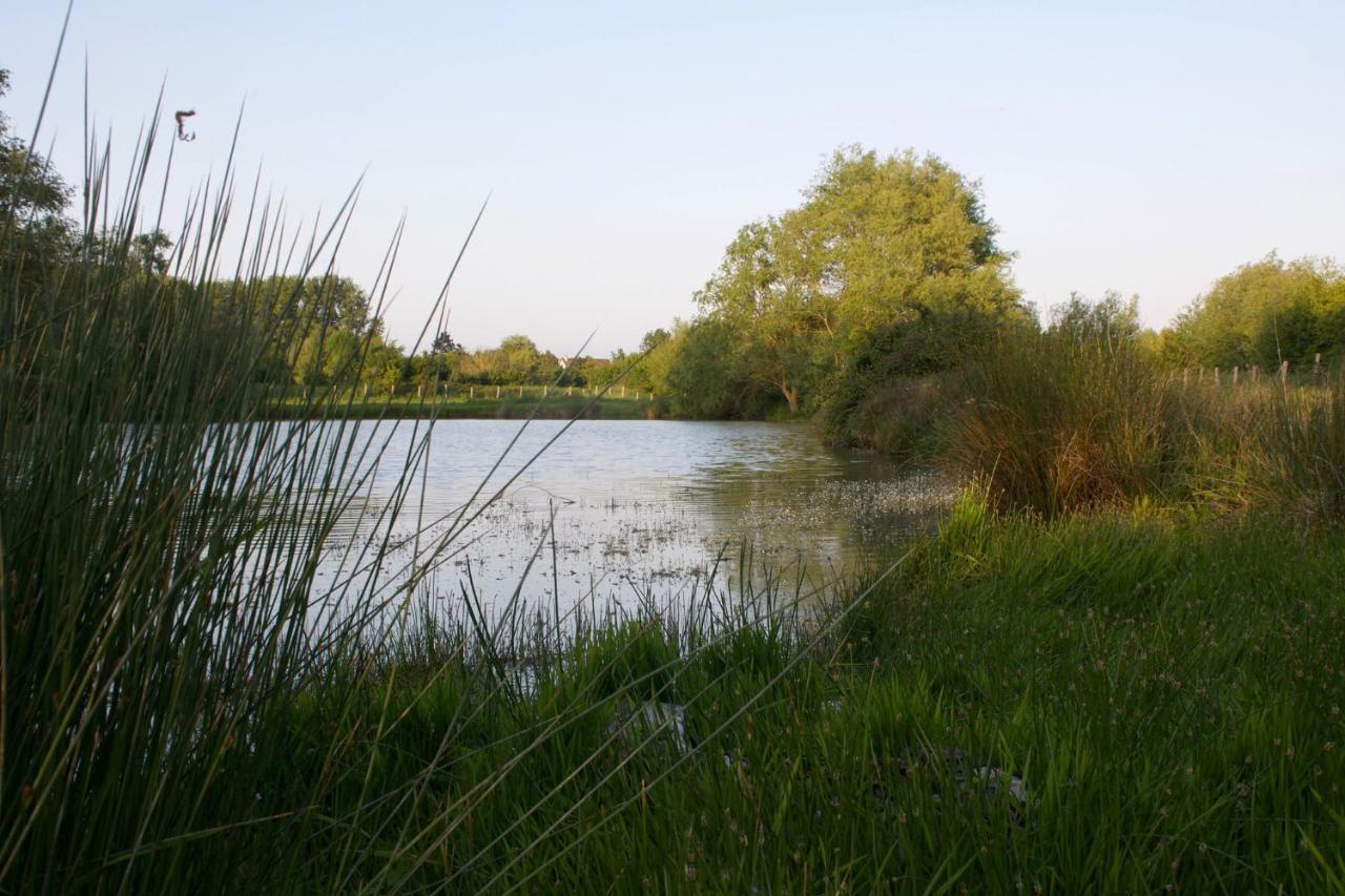 Camping-Caravaning De La Molliere Groffliers Exteriér fotografie